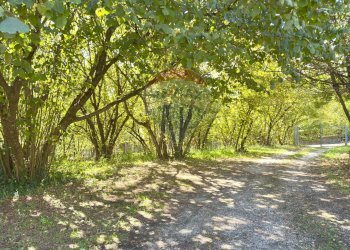 Giardino - Casa semi indipendente Via Ponticelli
 
4D, Avellino - foto 4