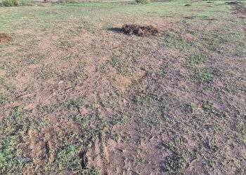 Foto 1 - Terreno edificabile Macerata Campania - foto 1