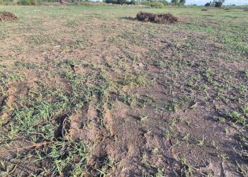 Foto 3 - Terreno edificabile Macerata Campania - foto 3