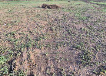 Foto 4 - Terreno edificabile Macerata Campania - foto 4