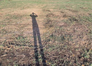 Foto 5 - Terreno edificabile Macerata Campania - foto 5