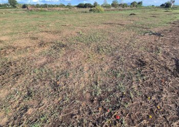 Foto 6 - Terreno edificabile Macerata Campania - foto 6