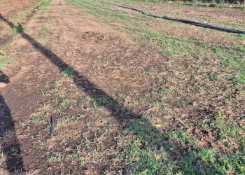 Foto 10 - Terreno edificabile Macerata Campania - foto 10