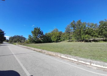 Foto 4 - Terreno agricolo via libertà, Giano Vetusto - foto 4