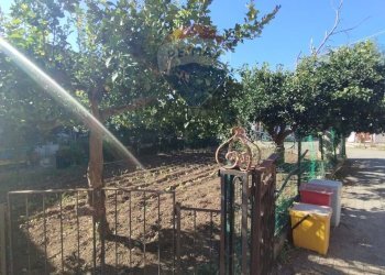 Giardino - Casa indipendente Santi Cosma e Damiano - foto 8