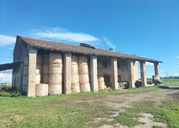 Foto 3 - Rustico Frazione Coduro
 
6, Fidenza - foto 3