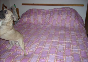 Foto 12 - Bilocale Via Italo Bargagna
 
50, Pisa - foto 12