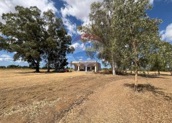 Giardino - Villa Contrada Louzzo
 
snc, San Pietro Vernotico - foto 4