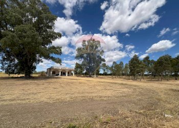 Giardino - Villa Contrada Louzzo
 
snc, San Pietro Vernotico - foto 6