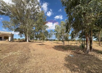 Giardino - Villa Contrada Louzzo
 
snc, San Pietro Vernotico - foto 7