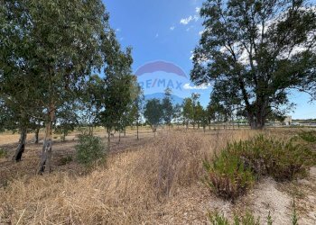Giardino - Villa Contrada Louzzo
 
snc, San Pietro Vernotico - foto 10