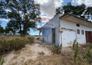 Casa all\'aperto - Villa Contrada Louzzo
 
snc, San Pietro Vernotico - foto 11
