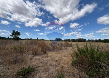 Vista delle montagne - Villa Contrada Louzzo
 
snc, San Pietro Vernotico - foto 13