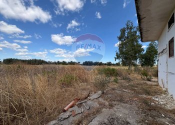Vista delle montagne - Villa Contrada Louzzo
 
snc, San Pietro Vernotico - foto 24