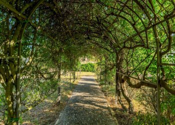 Foto 37 - Castello Umbertide - foto 37