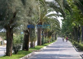 Foto 4 - Bilocale Alba Adriatica - foto 4