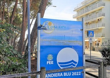 Foto 6 - Bilocale Alba Adriatica - foto 6