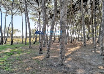 Foto 7 - Bilocale Alba Adriatica - foto 7