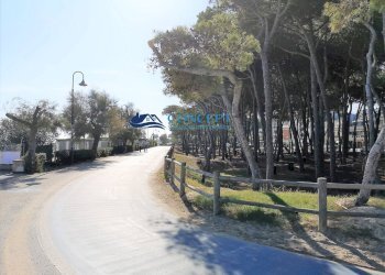 Foto 9 - Bilocale Alba Adriatica - foto 9