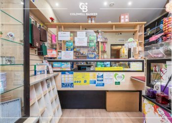 Foto 5 - Attività Commerciale vai carlo Pirzio Biroli
 
196, Ciampino - foto 5