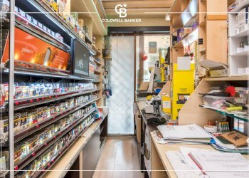 Foto 7 - Attività Commerciale vai carlo Pirzio Biroli
 
196, Ciampino - foto 7