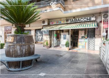 Foto 15 - Attività Commerciale vai carlo Pirzio Biroli
 
196, Ciampino - foto 15