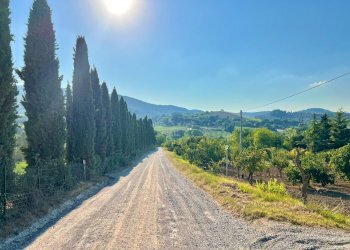 Foto 30 - Independent house strada di poggioluglio, San Gimignano - photo 30