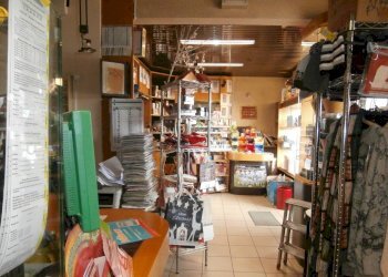 Foto 8 - Attività Commerciale Via Modena, Ferrara - foto 8