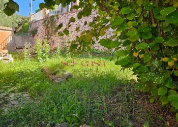 Foto 11 - Casa indipendente Campagnatico - foto 11