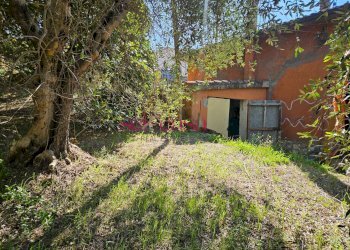 Foto 12 - Casa indipendente Campagnatico - foto 12