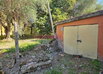 Foto 13 - Casa indipendente Campagnatico - foto 13