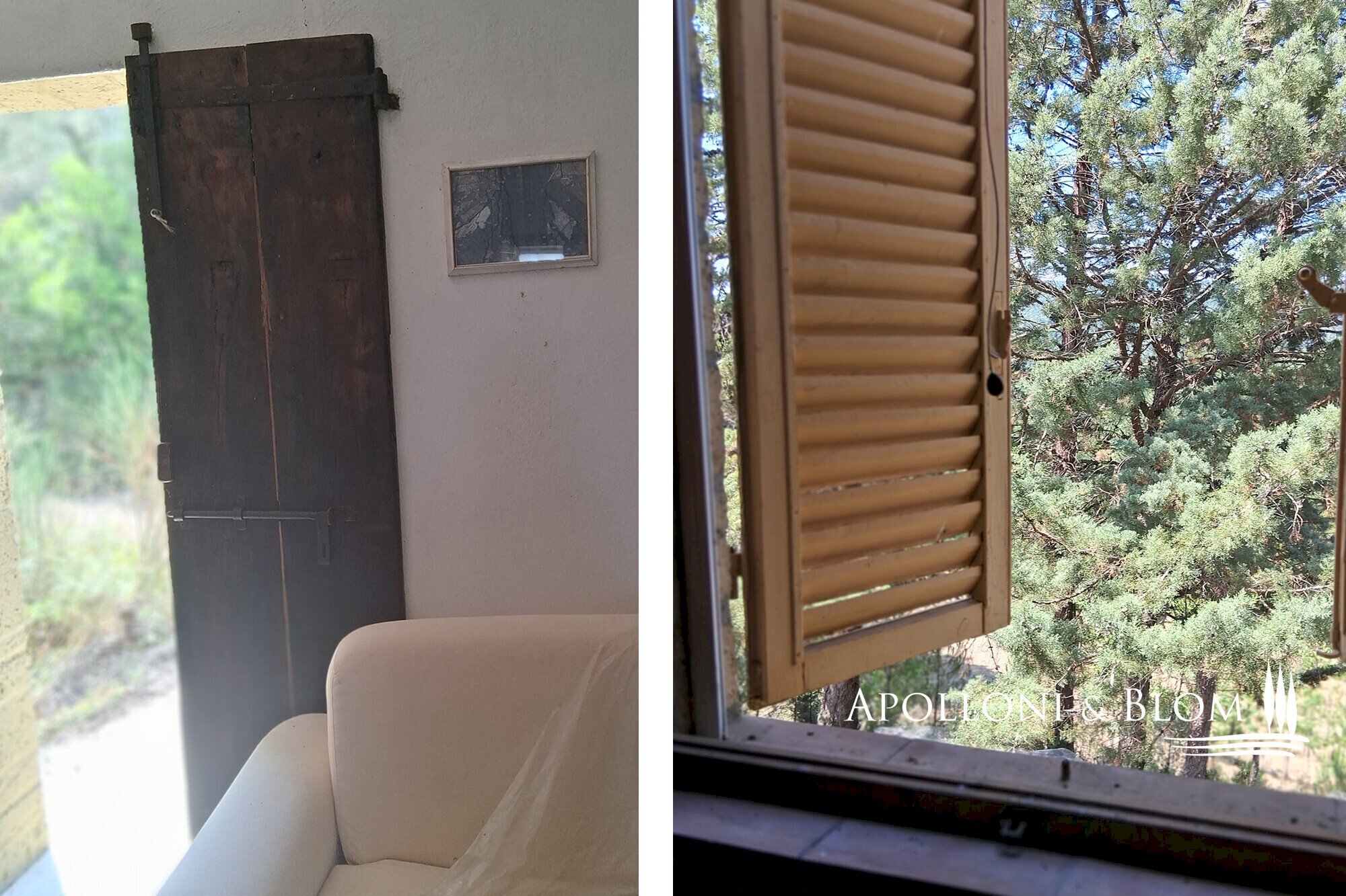 Rustic Murlo - photo 2