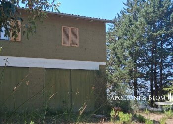 Rustico Murlo - foto 8