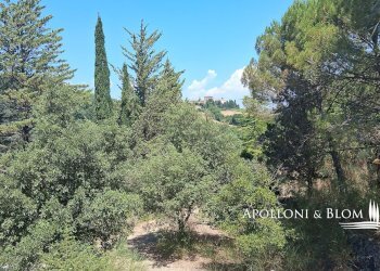 Rustico Murlo - foto 13