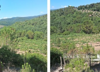 Rustico Murlo - foto 14