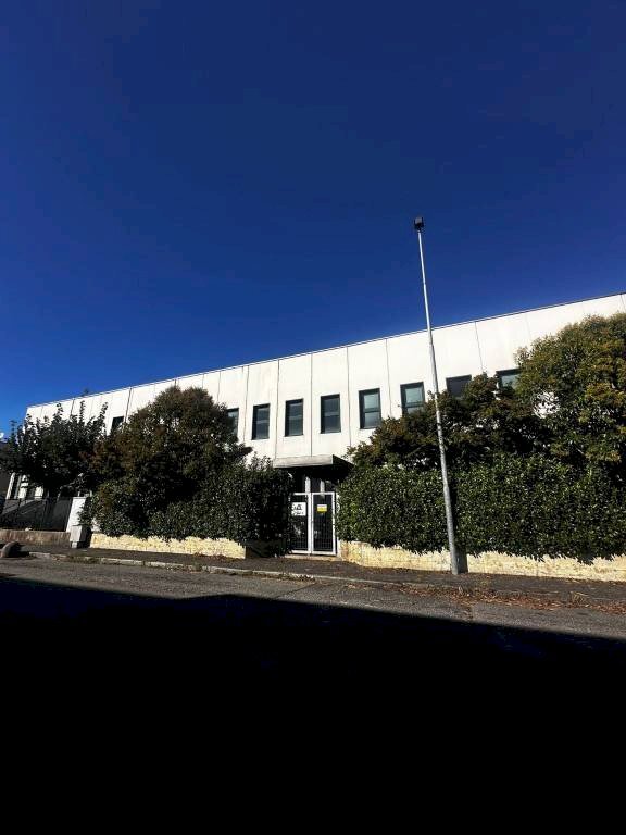 Capannone Rivoli - foto 1