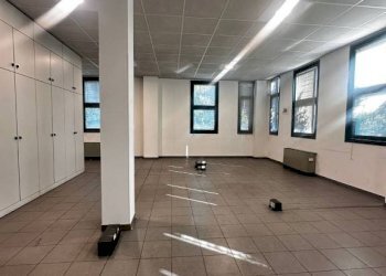 Capannone Rivoli - foto 10