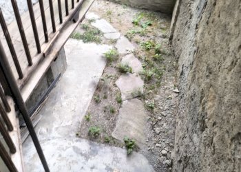 Appartamento Pragelato - foto 12