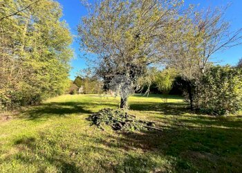 Casa indipendente Via La Grange, Givoletto - foto 13