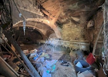 Casa indipendente Case ferrando, Coassolo Torinese - foto 6