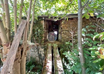 Casa indipendente Case ferrando, Coassolo Torinese - foto 18