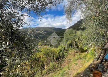 Villa Strada provinciale Nord, Ceriana - photo 21