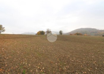 Building land Strada Tordenaso, Langhirano - photo 1