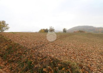 Building land Strada Tordenaso, Langhirano - photo 3