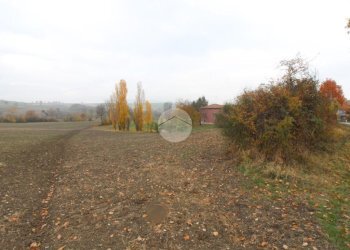 Building land Strada Tordenaso, Langhirano - photo 4