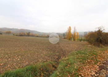 Building land Strada Tordenaso, Langhirano - photo 5