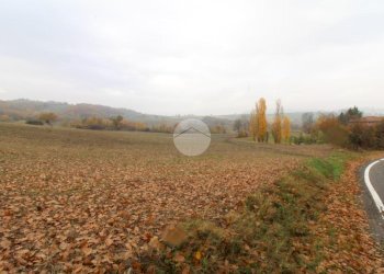 Building land Strada Tordenaso, Langhirano - photo 6