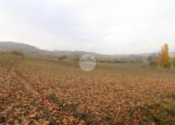 Building land Strada Tordenaso, Langhirano - photo 7