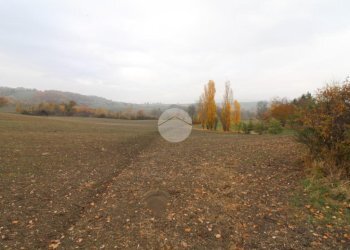 Building land Strada Tordenaso, Langhirano - photo 8