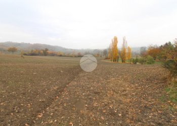 Building land Strada Tordenaso, Langhirano - photo 9